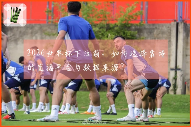2026世界杯下注前，如何选择靠谱的直播平台与数据来源？