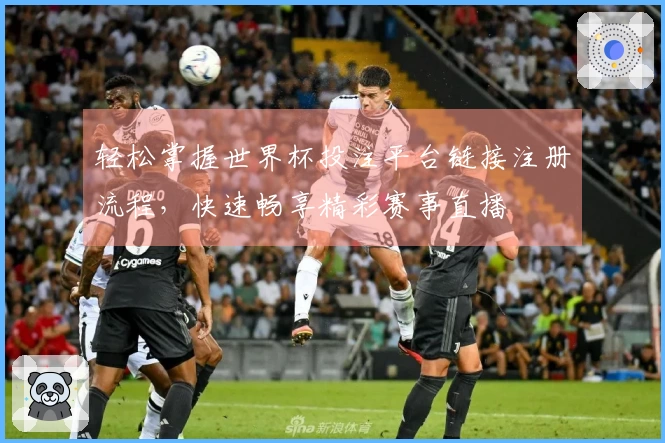 轻松掌握世界杯投注平台链接注册流程，快速畅享精彩赛事直播
