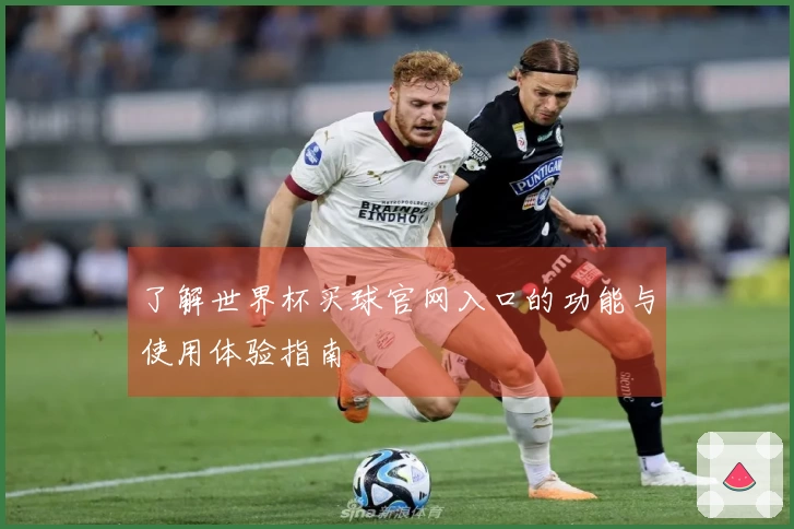 了解世界杯买球官网入口的功能与使用体验指南
