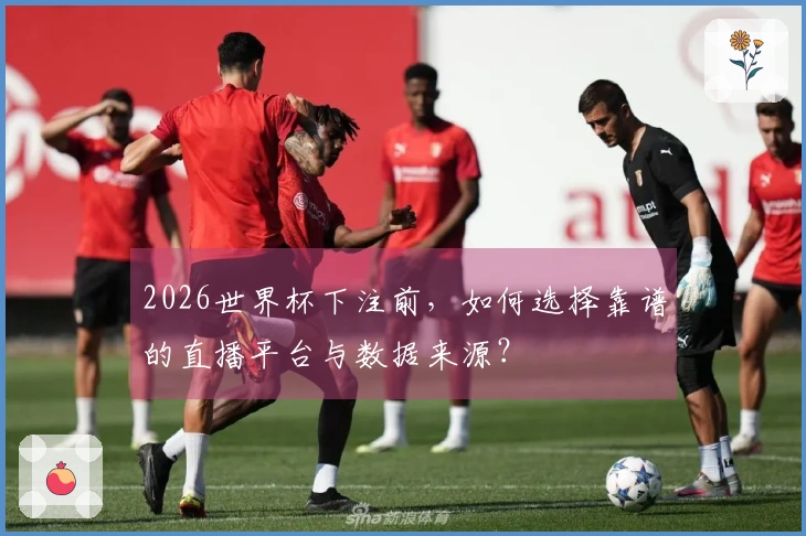2026世界杯下注前，如何选择靠谱的直播平台与数据来源？