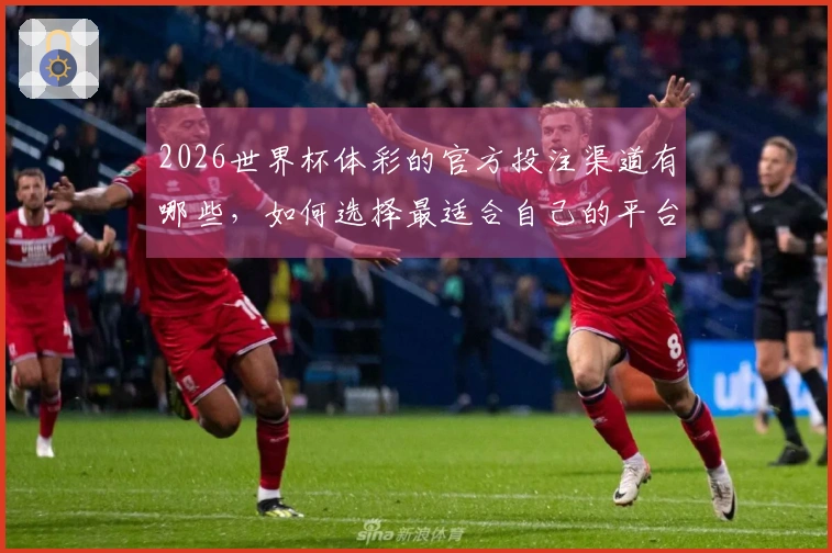 2026世界杯体彩的官方投注渠道有哪些，如何选择最适合自己的平台？