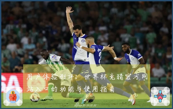 用户体验测评：世界杯竞猜官方网站入口的功能与使用指南