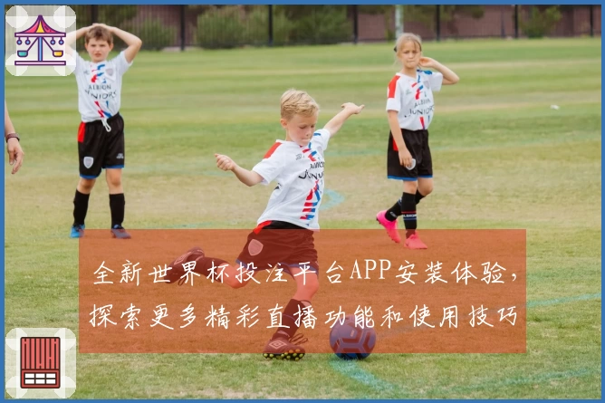 全新世界杯投注平台APP安装体验，探索更多精彩直播功能和使用技巧
