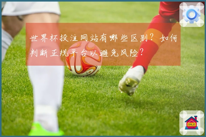 世界杯投注网站有哪些区别?如何判断正规平台以避免风险?