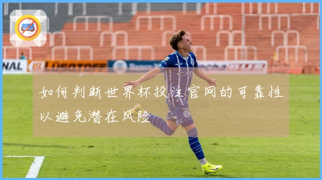 如何判断世界杯投注官网的可靠性以避免潜在风险