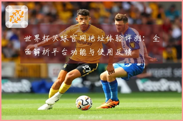 世界杯买球官网地址体验评测：全面解析平台功能与使用反馈